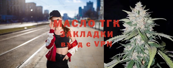 первитин Гусев