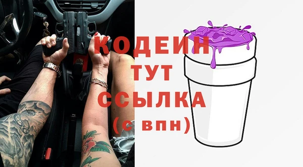 первитин Гусев
