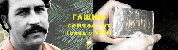 первитин Гусев