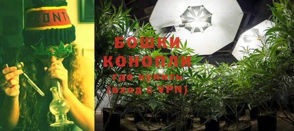 первитин Гусев