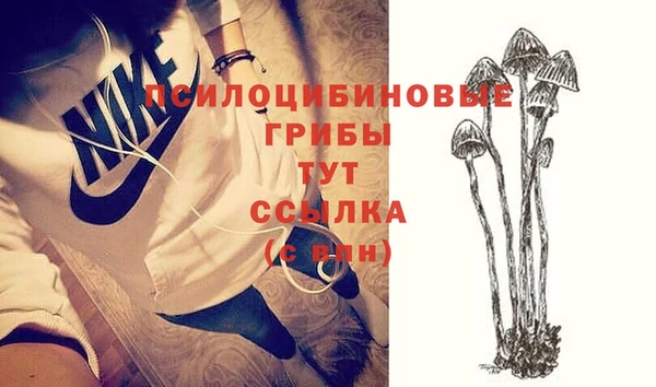 первитин Гусев